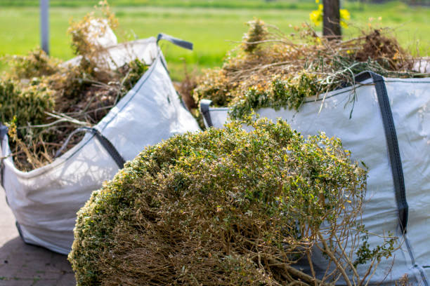 Best Appliance Removal Near Me  in Woodlands, CA